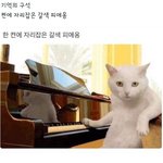 [방탄소년단] 이번에 <b>돌출</b>있을까