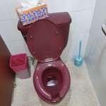 너네 자주색 변기 앎????