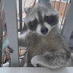 [드루와] 얘들아 이거 추반해봐