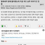 방에 벌레들어옴ㅠㅠㅠ