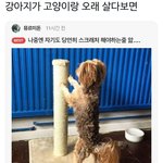 고양이랑 <b>오래</b> 살았더니;;