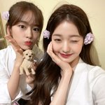 아이브 안녕즈 <b>셀카</b>