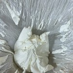 나 그릭요<b>거트</b> 만들었는데 미쳣음
