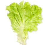 [드루와] 원래 대학교 새터 <b>협찬</b>많이받아?