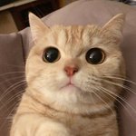 [댓글부탁해] 나 드디어 지거국 <b>편입</b> 성공함
