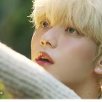 <b>요정</b>은 그렇게 인간이 되었습니다