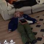 아니 <b>릴리</b> 왤케 정직하게 잠ㅋㅋㅋ