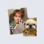 더보이즈 현재 이거 원본 좀