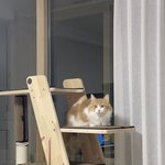 거기 너희들 울괭 사마를 <b>찬양</b>해라