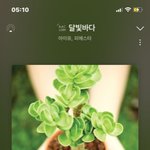 <b>달빛</b>바다 아는사람