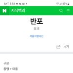 [댓글부탁해] <b>반포</b> ㄹㅇ 침수피해 그렇게 심해?