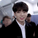 정국이는 말티파? 토끼파?