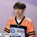 [보플] <b>쿨톤</b> 강아지를 뽑아주세요