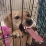 [댓글부탁해] 아무것도 모르고 슬덩 봐도됨??