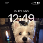 와 아이폰 배경화면 이거 개신<b>기함</b>