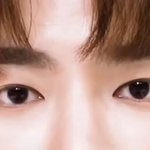 장<b>하오</b> 안광