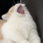 나 쓰레기 남자들만 꼬이는 사주라는데 소름돋아