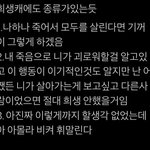 보플 이걸로 <b>캐해</b> 해보쟈