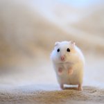 [댓글부탁해] 친구가 술먹고 내 쌍수 조카 <b>티난대</b>