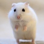 [댓글부탁해] 나 대학 입학취소 됐는데 <b>개황</b>당함