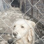 포토샵 잘하시는 천사분 있나여