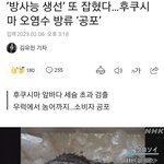 곧 애들 급식에도 후쿠시마방사능 생선이 올라옵니다