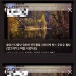 [NCT칠프] 똑같은 주작<b>캡쳐</b>랑 풍경짤만 ㅈㄴ 쳐우려먹네