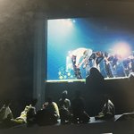 [NCT드림] 얘들아 어떡해