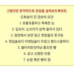 <b>도화</b> 관상 특징