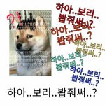 <b>니</b><b>넨</b> 판 레전드썰 머라생각하냐