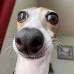 [댓글부탁해] 너네 <b>제</b><b>삿</b>상에 뭐 올라왔으면 좋겠음