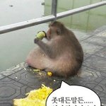 [댓글부탁해] 하 <b>남미</b>새가 싫지만 그중 제일 최강인건