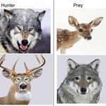 [댓글부탁해] 서양인들이 <b>미적</b>으로 선호하는 눈