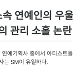 <b>SM</b>이 좋은 기획사긴 하냐?