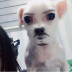 [드루와] 11모 <b>성적</b>가지고 학교 까대는거
