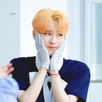 근데 보플 <b>오성민</b>
