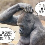 원래 생일인사람이 쏴야대는거아냐?