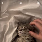 [군대] <b>김준</b>돌 좋아요 뭐냐고