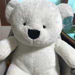 [댓글부탁해] 곰돌이 인형 만원에 팔면 <b>양심</b>없냐