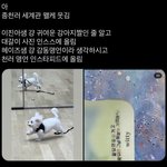 [NCT드림] 이거 진짜 웃기다