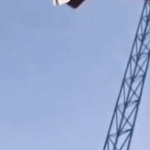 [스키즈] 진심 광기임