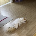 <b>찬양</b>해라