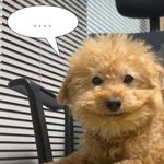 [댓글부탁해] 나 이상한거에 <b>꼴림</b>