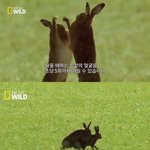 [드루와] <b>투</b><b>디</b>호모 좋아하는 사람들 들어와봐