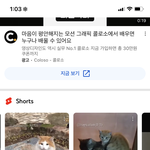 내 <b>숏</b><b>츠</b> 알고리즘