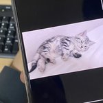 (<b>사진o</b>)곧 고양이 데려오는데 이름 멀로하까???!