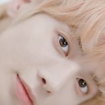 클리오 고양이 <b>모에</b>화