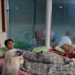 [TXT] 연준이 고양이랑 있는 사진 <b>출처</b> 어디야?