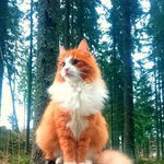 [방탄소년단] 늉기 화보 약간 이사진 느낌나ㅋㅋㅋㅋㅋㅋ