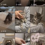 [군대] 근데 확실히 방탄 효과가
